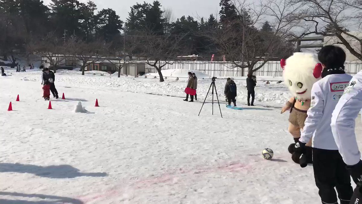 ディーノん Dinonfukui Twitter