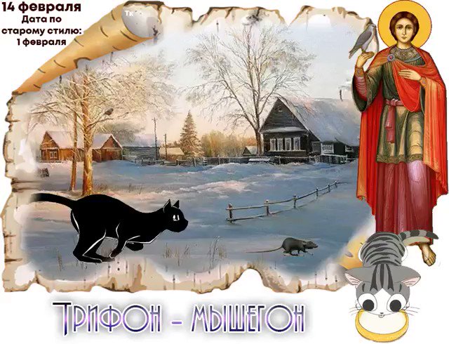 День святого трифона 14