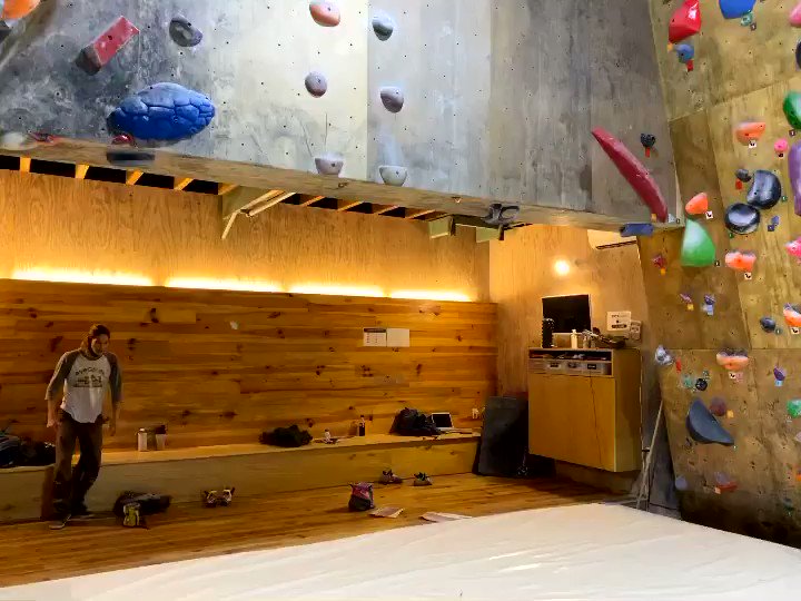 Rhino Bird Rabclimbing Twitter Rhino Bird Rabclimbing Twitter