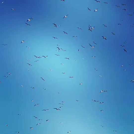江戸川セロリ 根菜さ 江戸川セロリ 根菜さ
