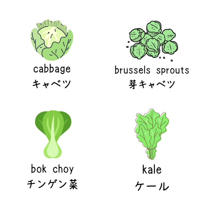チンゲン菜のtwitterイラスト検索結果 チンゲン菜のtwitterイラスト検索結果