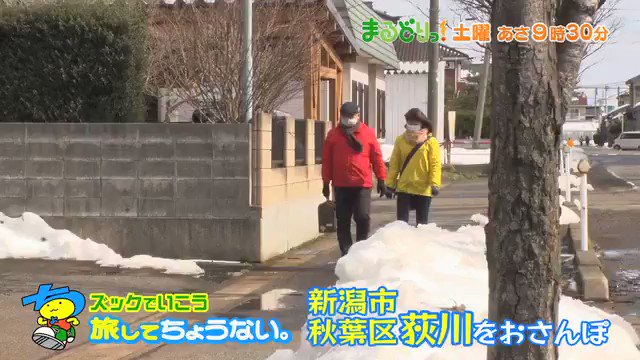 新潟テレビ21さん がハッシュタグ 旅してちょうない をつけたツイート一覧 1 Whotwi グラフィカルtwitter分析 新潟テレビ21さん がハッシュタグ 旅してちょうない をつけたツイート一覧 1 Whotwi グラフィカルtwitter分析