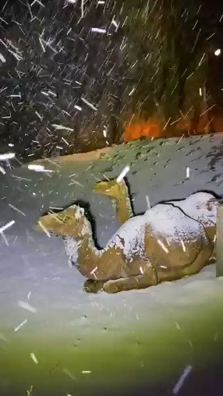 Hey climate deniers —
it’s snowing now in Saudi Arabia... https://t.co/KxEQzIVHnY