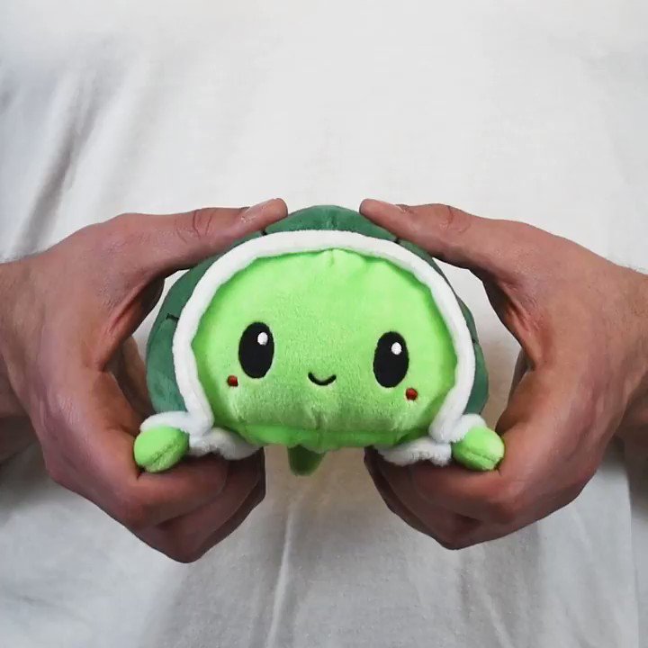 shy turtle plush