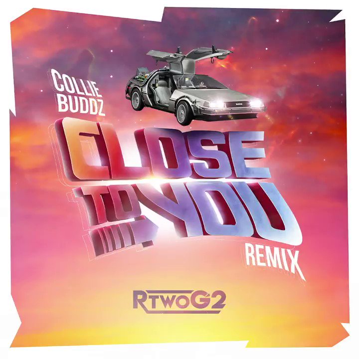 COLLIE BUDDZ❗️ | avanza.com.br