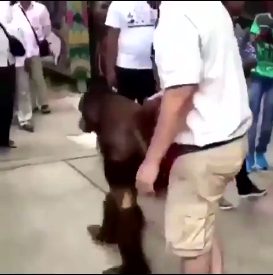 Big 🐰 (@FreddieGibbs) on Twitter photo 2021-02-19 22:50:55 Grab him by the pussy 😂 Grab him by the pussy 😂
