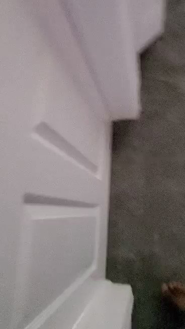 Goodylouis’s pics and videos