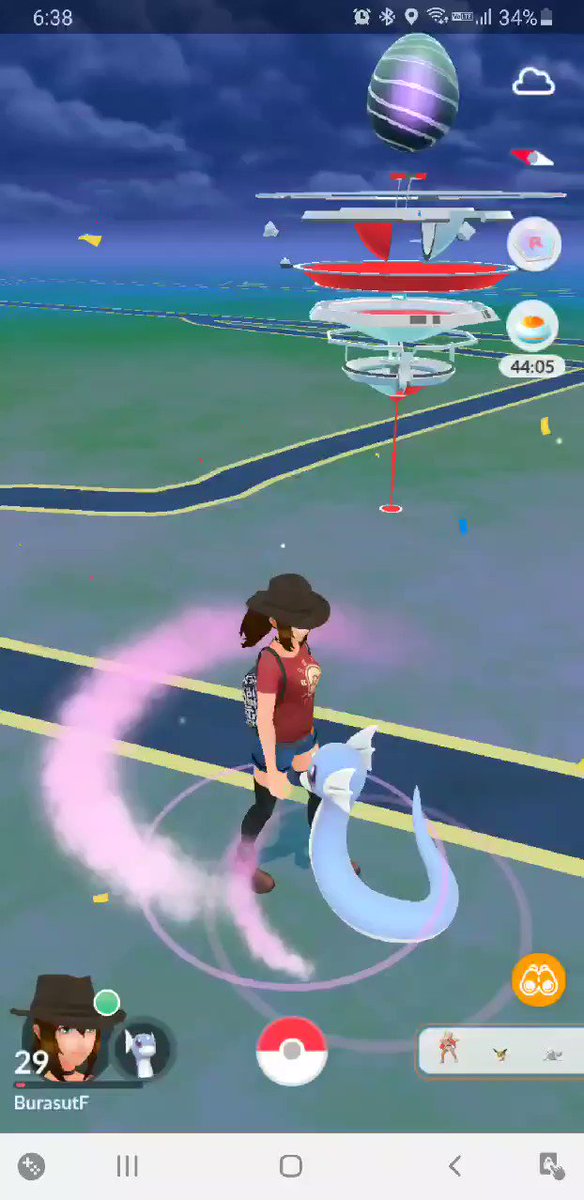 色違いミニリュウ３体捕獲 ポケモンgoツアー Burasutの日記