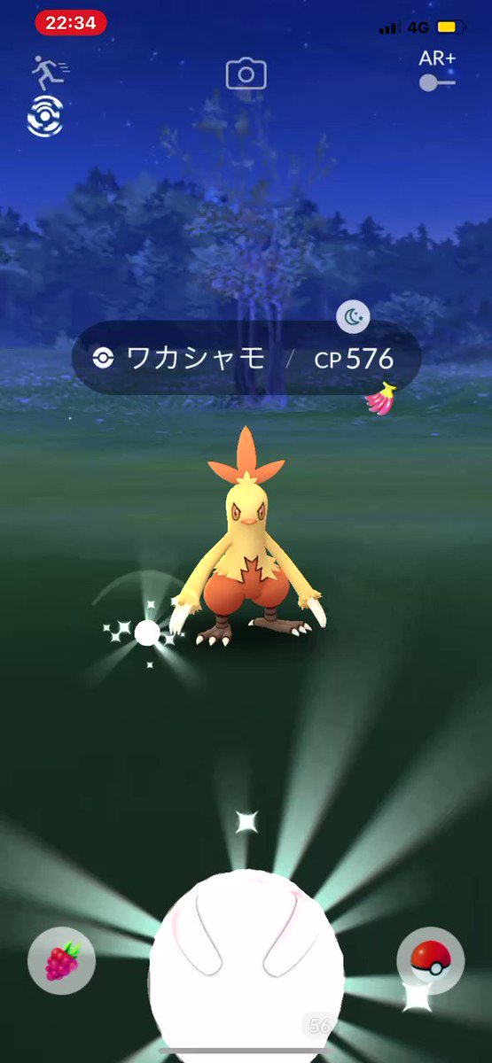 ポケモンgo ワカシャモの入手方法 能力 技まとめ 攻略大百科