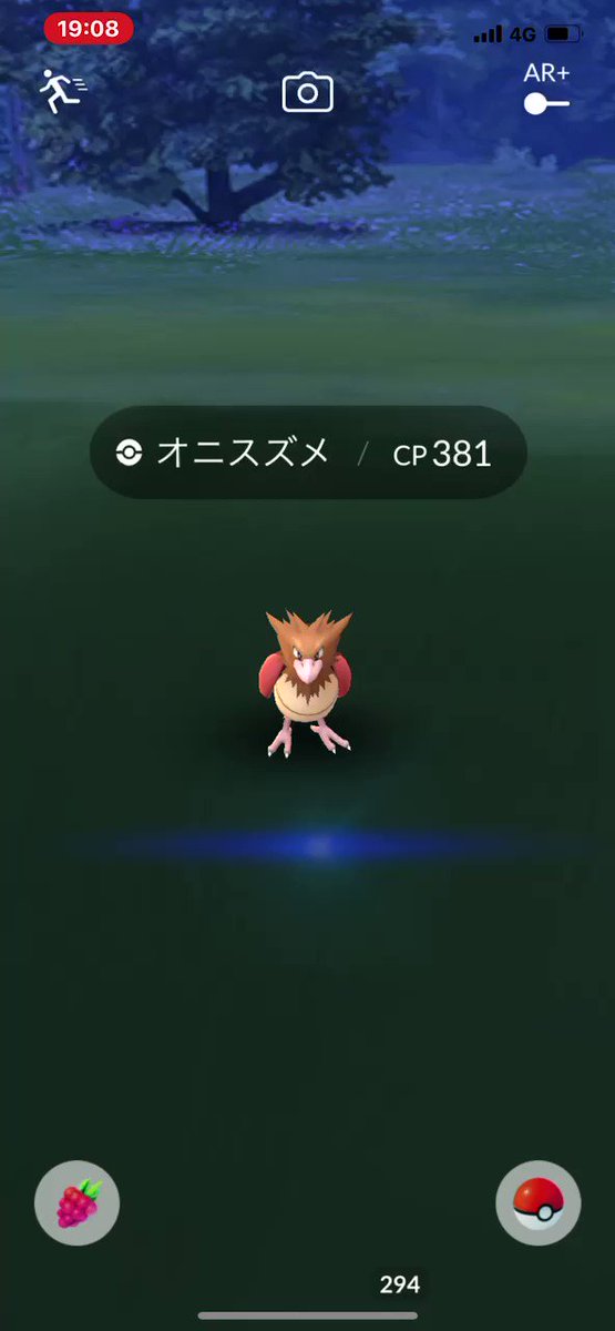 ポケモンgo オニスズメの入手方法 能力 技まとめ 攻略大百科 ポケモンgo オニスズメの入手方法 能力 技まとめ 攻略大百科