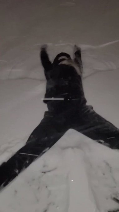 How was your #snowday ? #trixzie  #texaswinterstorm https://t.co/LW7om5bglL<a href="/tag/snowday"class="tags">#snowday</a><a href="/tag/trixzie"class="tags">#trixzie</a><a href="/tag/texaswinterstorm"class="tags">#texaswinterstorm</a>