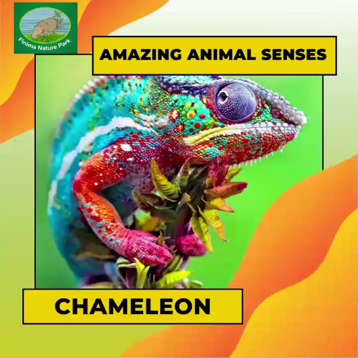 Finima Nature Park on Twitter: Finima Nature Park on Twitter: