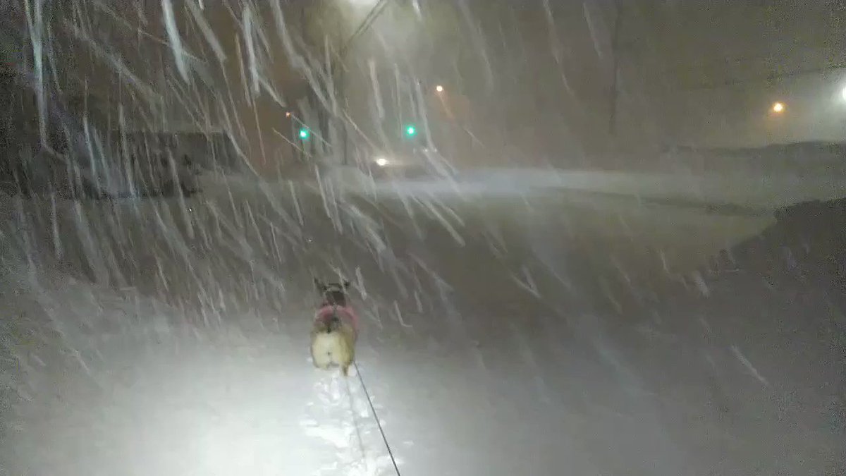 もん すけ 雪かき もん すけ 雪かき