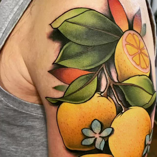 Icon of pot plant handdrawn style Lemon tree on white background  Lemon  tree Inner arm tattoo Free tattoo