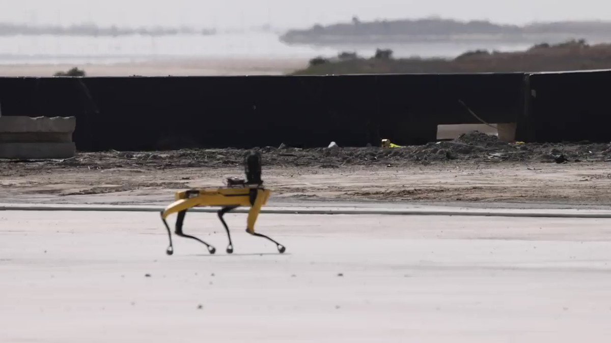 Saudi Steve 🇸🇦🛢 on Twitter "I think the true gem here is ZEUS 🫡 Elons