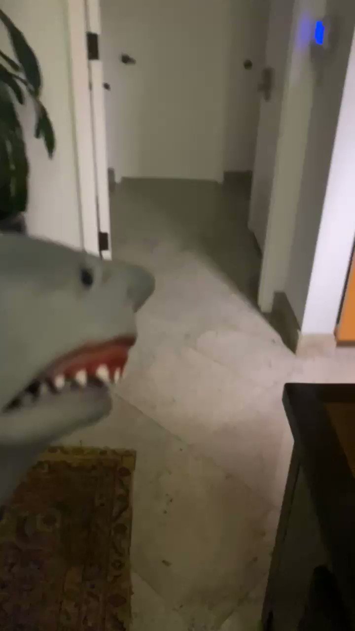 Sharks sauna