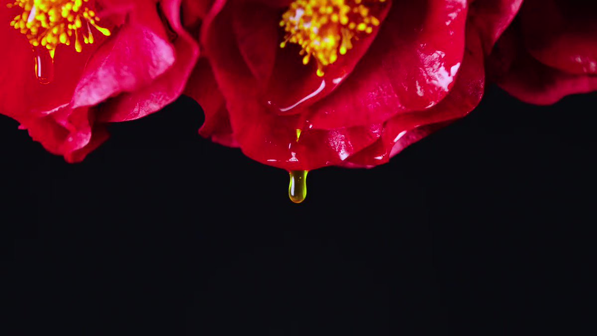 @shuuemurath's photo on niang