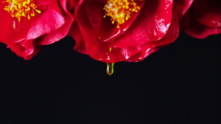 @leoryutj's photo on niang