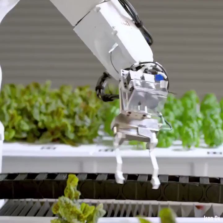 leave it to #robots where we can
v/@VisiveAI
#futureofwork #agritech #AI #robotics @Nicochan33 @sebbourguignon @labordeolivier @DrJDrooghaag @JeroenBartelse @enricomolinari @CurieuxExplorer @AlbertoEMachado @alvinfoo @segundoatdell @YuHelenYu @ShiCooks https://t.co/6C5PaBzfLw