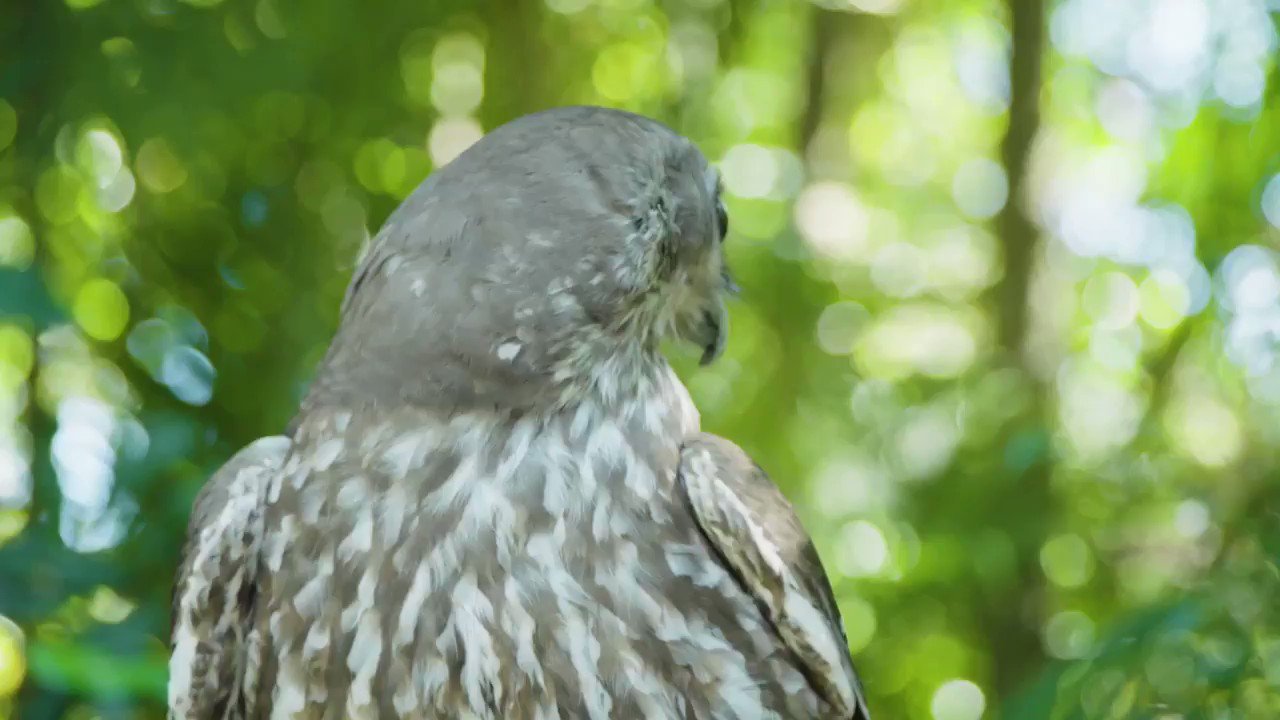 Celebrating the many moods of Amanda Keller. Happy birthday 