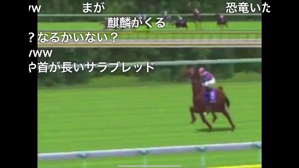 JRAハリボテエレジー Japan World Cup 3 JRA ハリボテエレジー勝利 - YouTube
