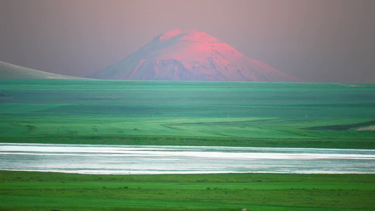 BirdLife_News photo