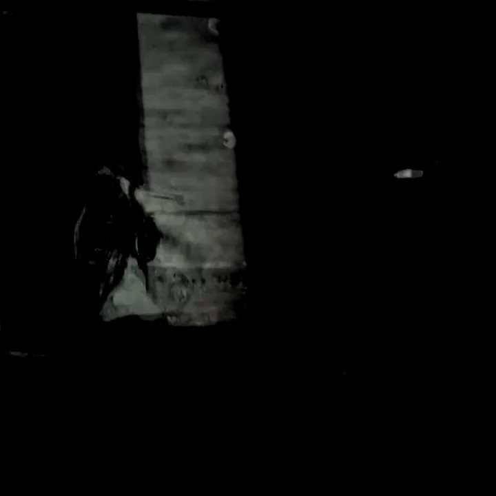 "'Til the day that I drop you'll never say that I'm not killin' 'em" Another 1 billion on @Spotify #TillICollapse https://t.co/sryyc7C5FO