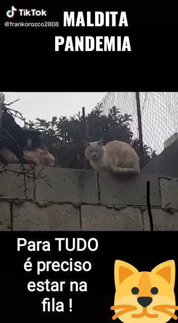 Vai faz a fila e vem um de cada vez??? https://t.co/3z0Ew2YeR3