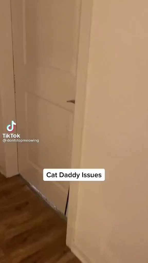 🤣🤣🤣 https://t.co/e6Q4aU8Rt0