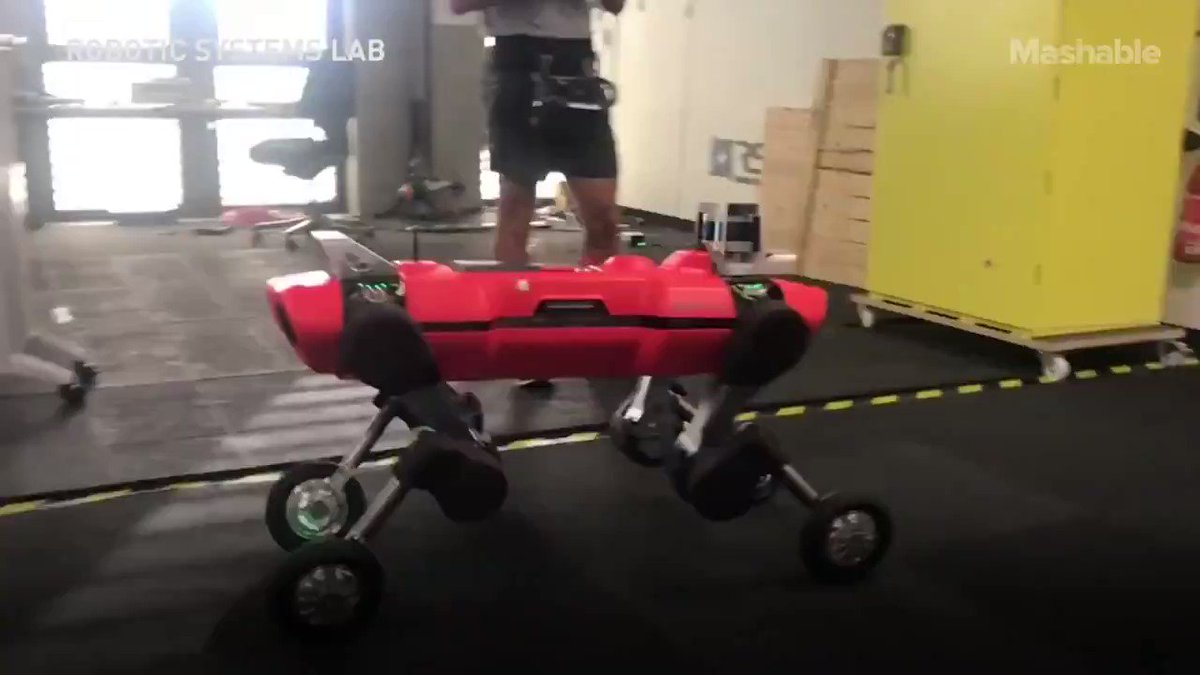 Wheels could be a better option than feet for some #Robots
by @mashable
#Engineering #Robotics #AI #DeepLearning #Innovation
Cc: @rudyagovic @dirkschaar @space_mog https://t.co/g3pfGxvuyJ