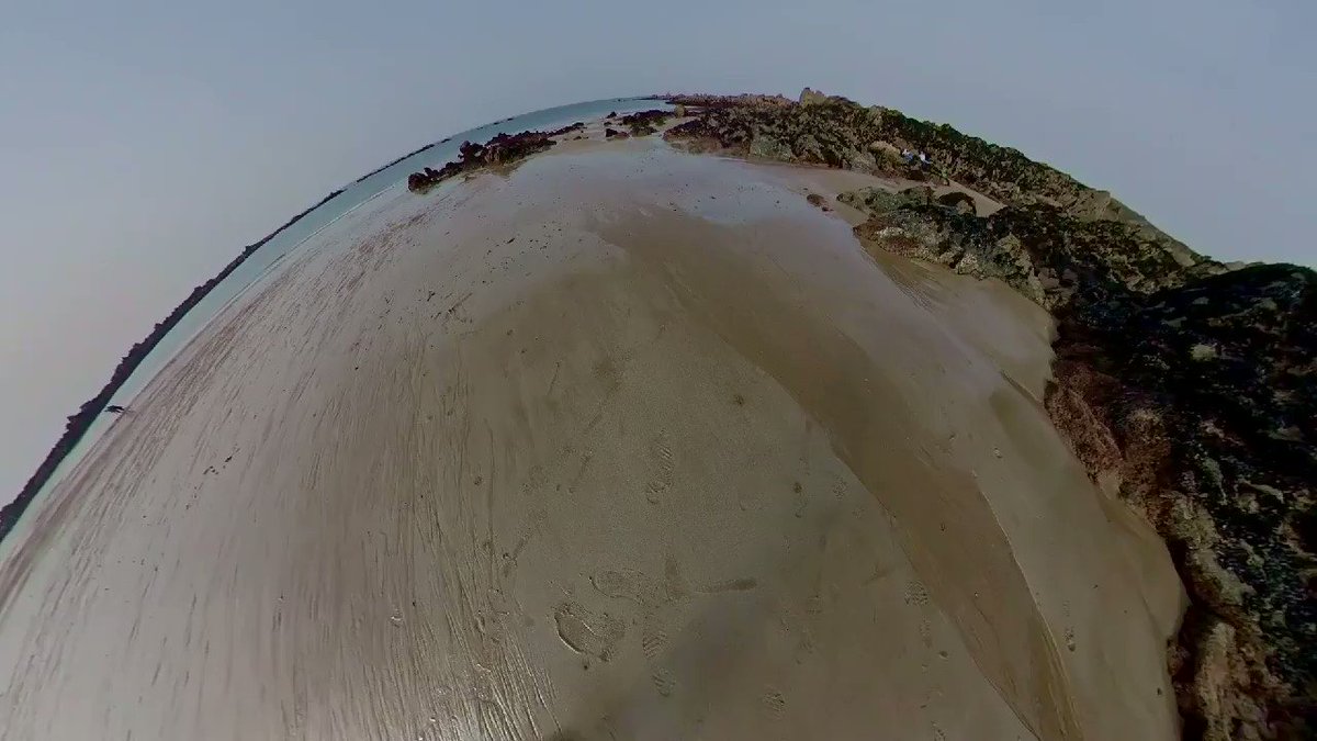 À marée basse les rochers se prélassent au soleil et rêvassent en sommeil... #sea #sun #sand #spring #beach #armor #mer #plage #bretagne #printemps #COVID19 #coronavirus #confinement #lockdown https://t.co/SJikoLczpO