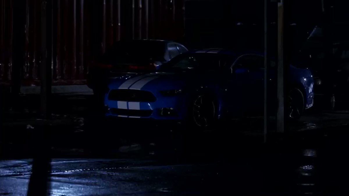 mustang jake peralta