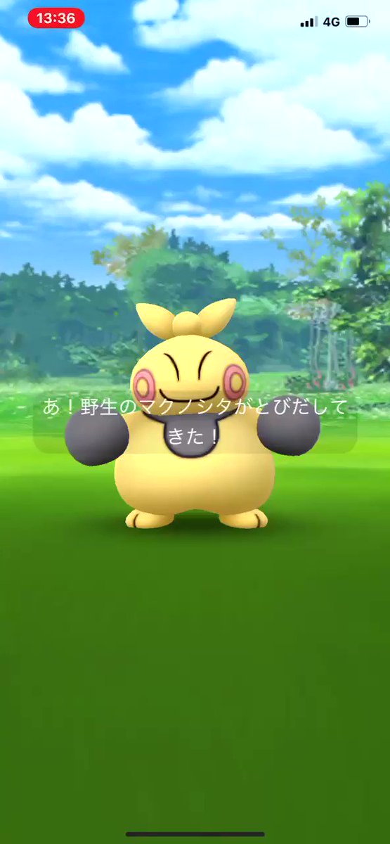 猫の飼い主 ポケモンgo マクノシタをエクセレントスローで捕まえた ワンショットで捕まえた T Co 7ogh3smrum Twitter 猫の飼い主 ポケモンgo マクノシタをエクセレントスローで捕まえた ワンショットで捕まえた T Co 7ogh3smrum Twitter