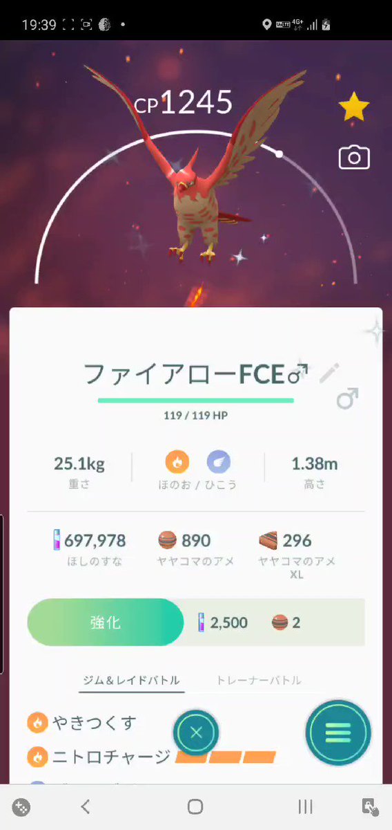 ポケモンgo ファイアローの色違い 入手方法と実装状況 攻略大百科 ポケモンgo ファイアローの色違い 入手方法と実装状況 攻略大百科