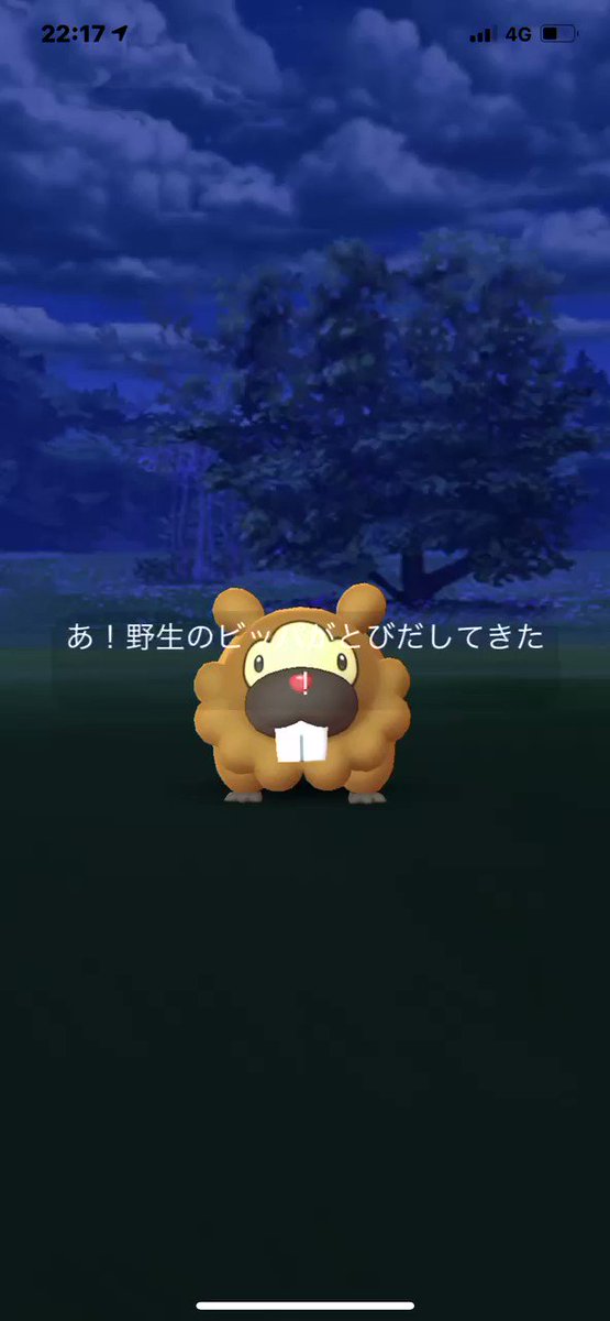 ポケモンgo ビッパの入手方法 能力 技まとめ 攻略大百科 ポケモンgo ビッパの入手方法 能力 技まとめ 攻略大百科