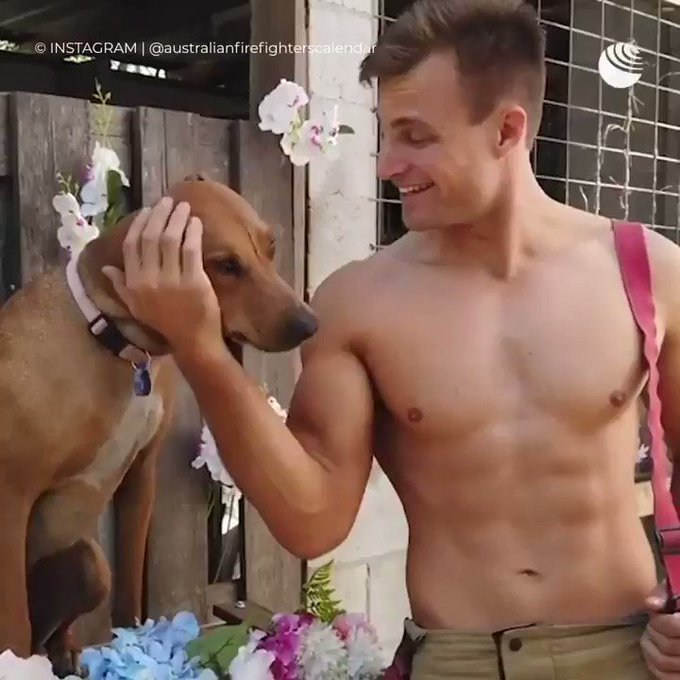 Cute ...#petsofinstagram #petsoftwitter #hotguys #outdoors #calendar https://t.co/oScx0h5QGR