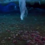まるで映画の世界・・触れる全てを凍らせてしまう『つらら』が存在する