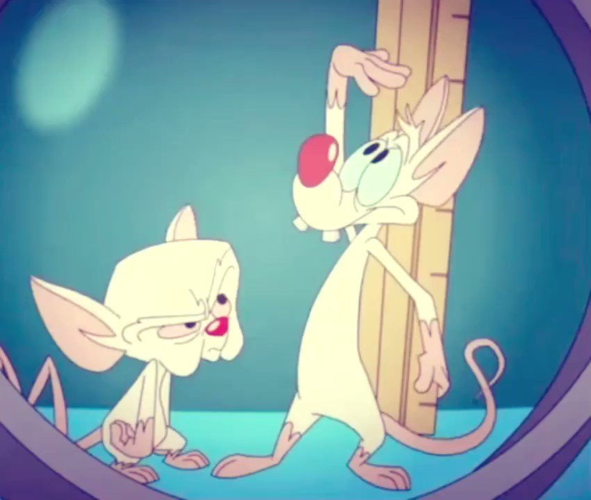 HAPPY BIRTHDAY ROB PAULSEN!!!! WE LOVE U 