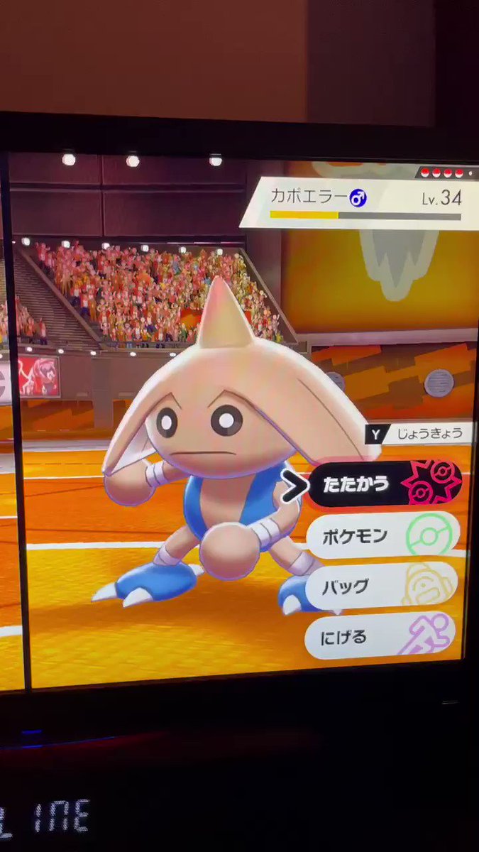 カポエラー ポケモンwiki カポエラー ポケモンwiki