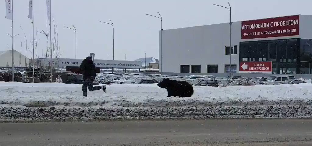 Ekaterina (Katya) Chekushkina on Twitter: "Just another day in Russia ...