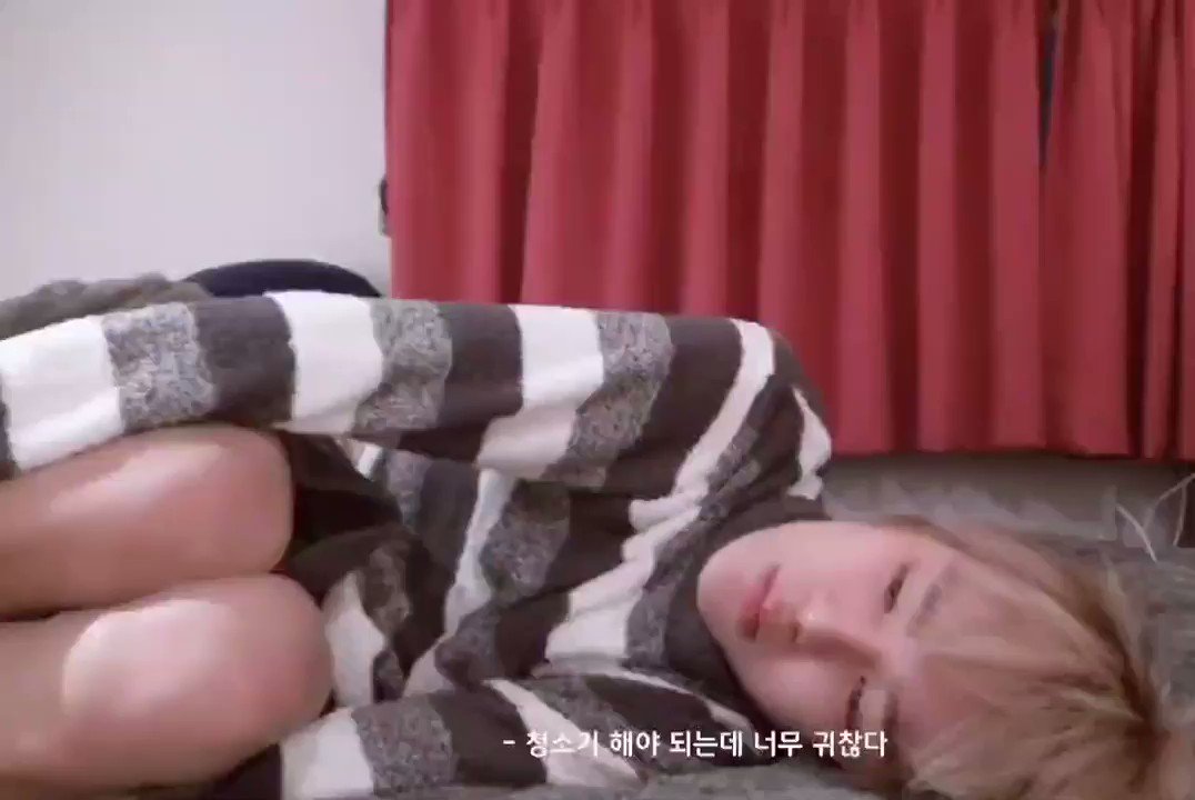 트위터, twitter - 딸플릭스