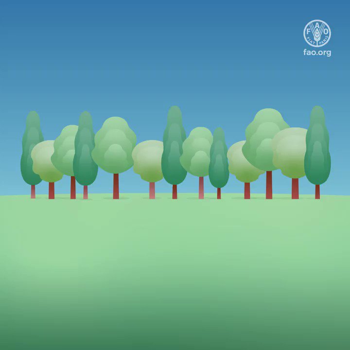 Food and Agriculture Organization в Twitter: „2⃣BILLION hectares of land  are degraded! Restoring our forests means making a better 🌎 for our health  & for the health of future generations. It's never