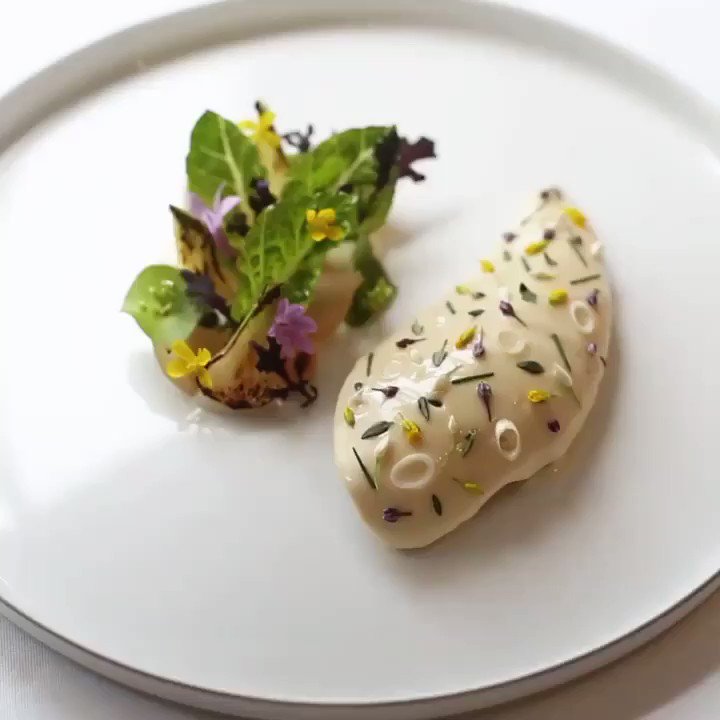 RT @GordonRamsay: Throwback to this stunning spring dish from Restaurant Gordon Ramsay https://t.co/411GgzHMGK