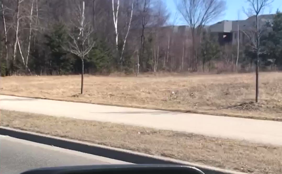 RT @melanie_korach: Just caught this on video (as a passenger) on a drive today. It’s Spider-Man! #StarfishClub https://t.co/LrlpEHHybK