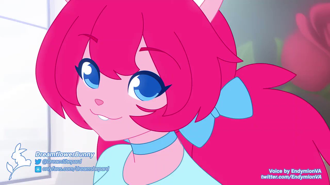 @DreamShepards video Tweet