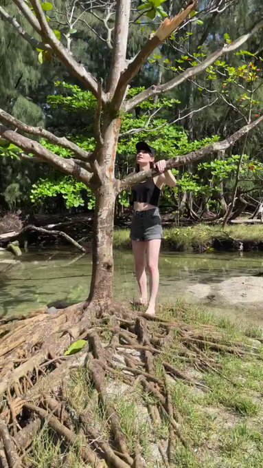 🐒 https://t.co/GRrKu3QI2B