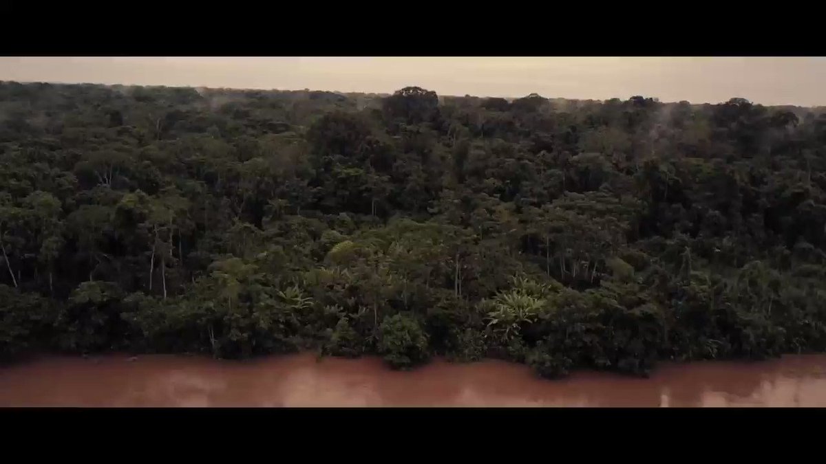 Our new song “Amazonia” is available now! Proceeds from the song will benefit The Articulation of Indigenous Peoples of Brazil (APIB) who advocate for environmental and cultural rights of indigenous tribes in the Amazon. WATCH HERE: https://t.co/03vdmSwYI0 https://t.co/6Hix2JsXmG