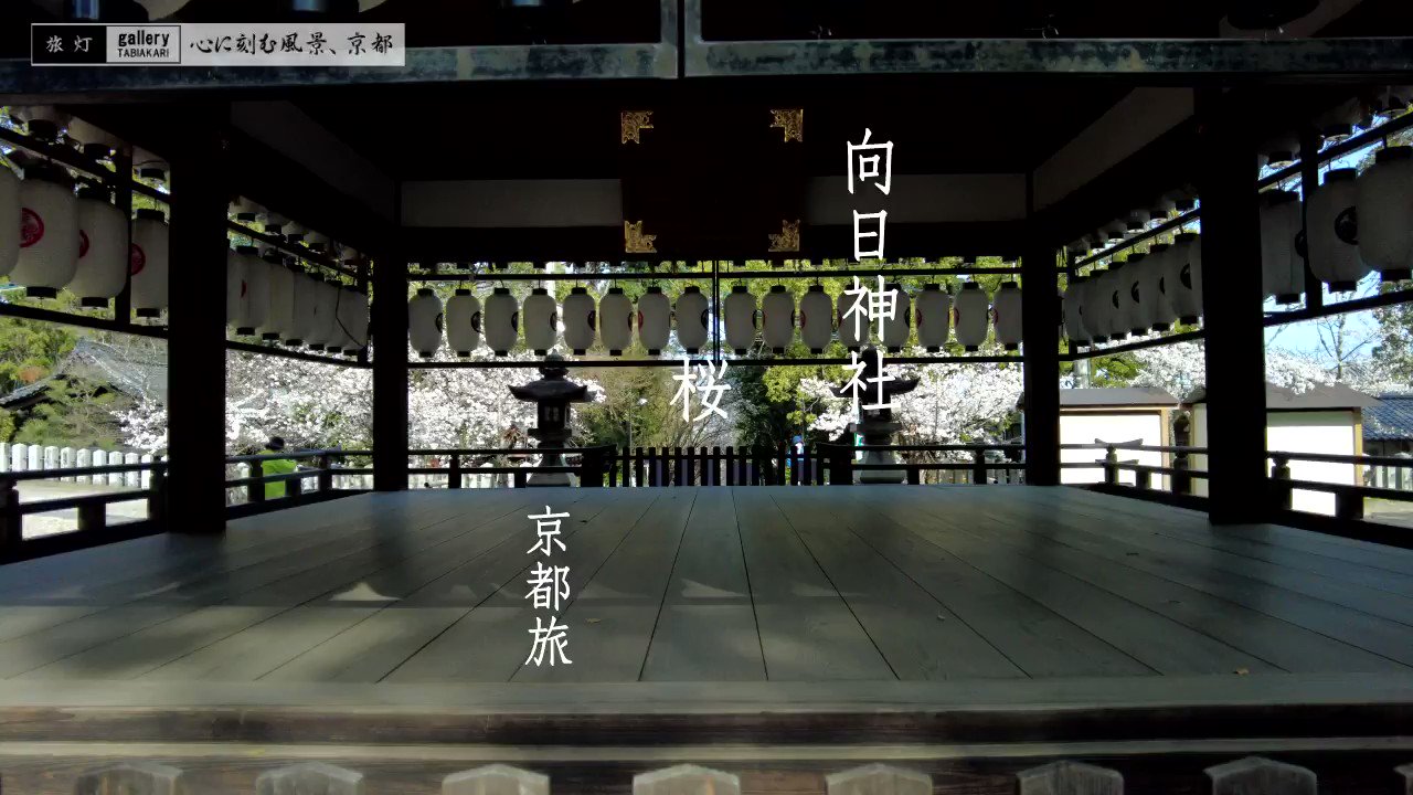 京都の魅力発信 旅灯 心に刻む風景 Travelwalkerjp Twitter