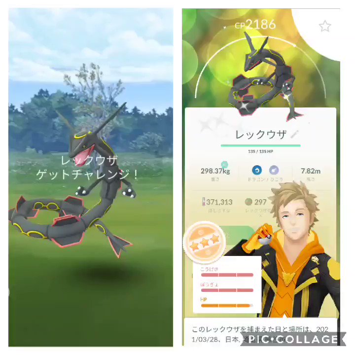 レックウザ X 色違い Hotワード レックウザ X 色違い Hotワード