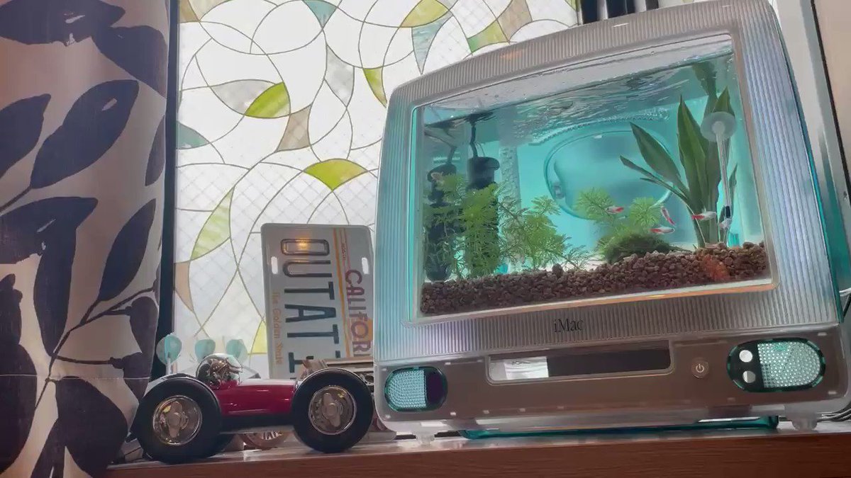 年前のimac買ったら全然使えなかったから 水槽にアップデートしました O Apple Imac G3 Aquarium 熱帯魚 ツイラン いま話題の人気ツイートランキング